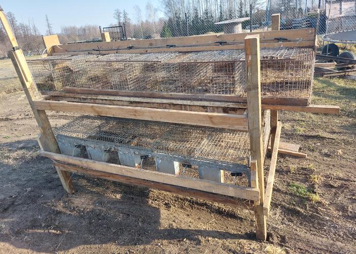 Grajewo ogłoszenia: Sprzedam 22 komorową klatkę dla królików.  Możliwość...